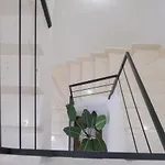 Toci