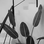 Toci Appartement *