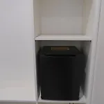 Toci *