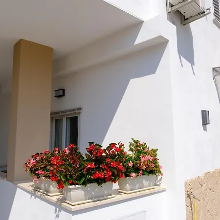 Apartment Toci