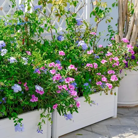 Toci Lägenhet Volla (Naples)