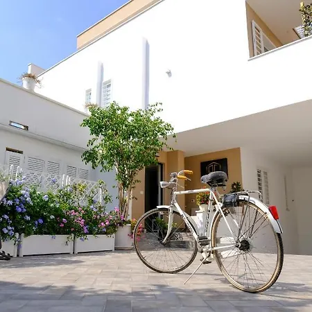 Apartment Toci *