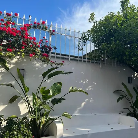 Toci Apartment